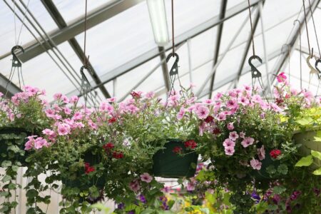 Local Garden Centers Expand Revenue Through Landscape Design Consulting Interior view of garden center with various potted plants and flowers arranged on shelves and displays